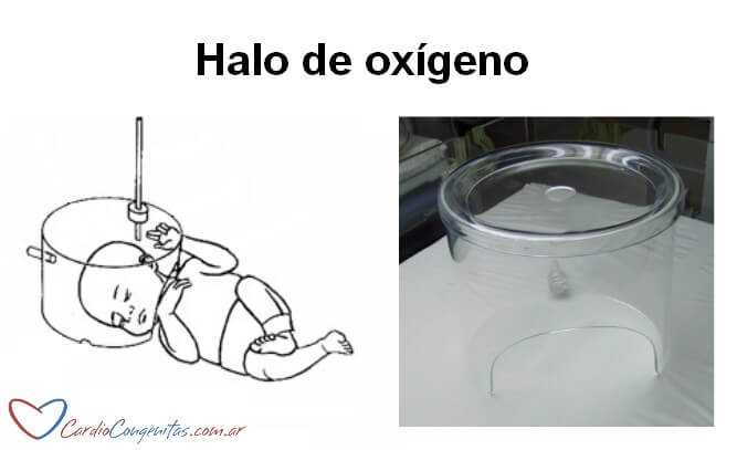 Halo-de-oxigeno